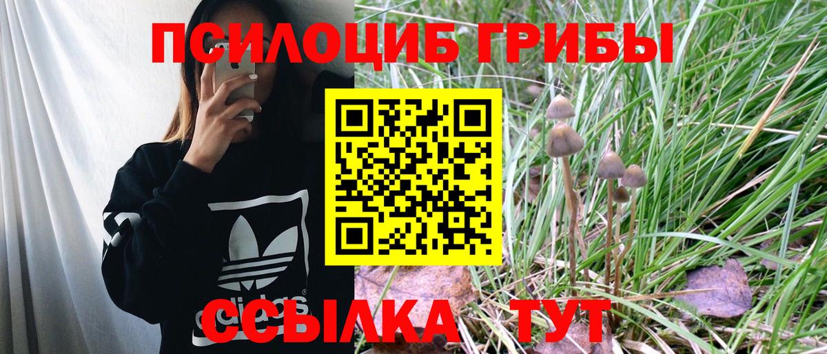 Галлюциногенные грибы Psilocybine cubensis Екатеринбург
